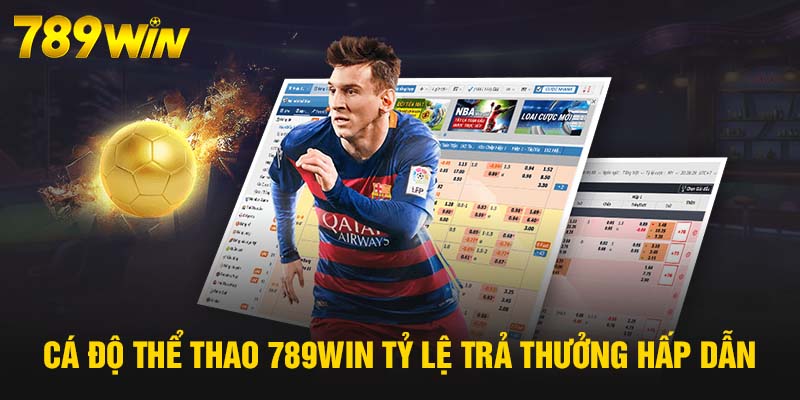 Cá độ Thể Thao 789WIN tỷ lệ trả thưởng hấp dẫn